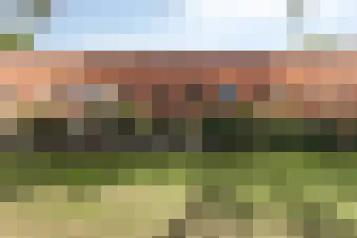 Berkenlaan 85 Doorwerth thumbnail 46