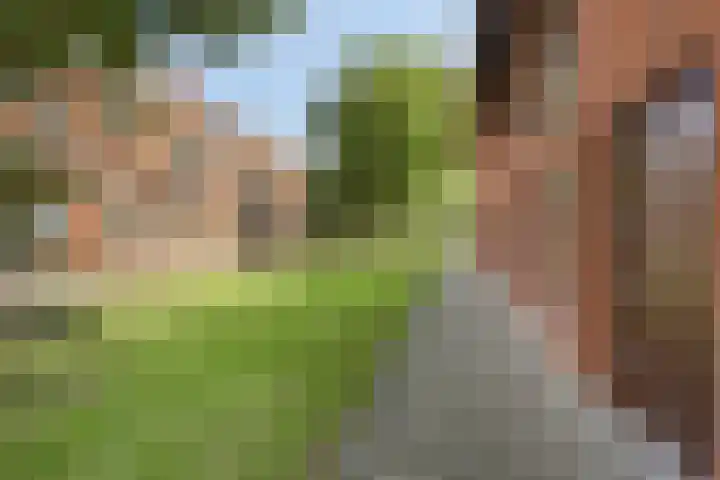 Berkenlaan 85 Doorwerth thumbnail 49