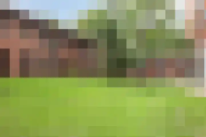 Berkenlaan 85 Doorwerth thumbnail 5