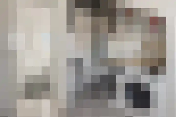 Berkenlaan 85 Doorwerth thumbnail 51