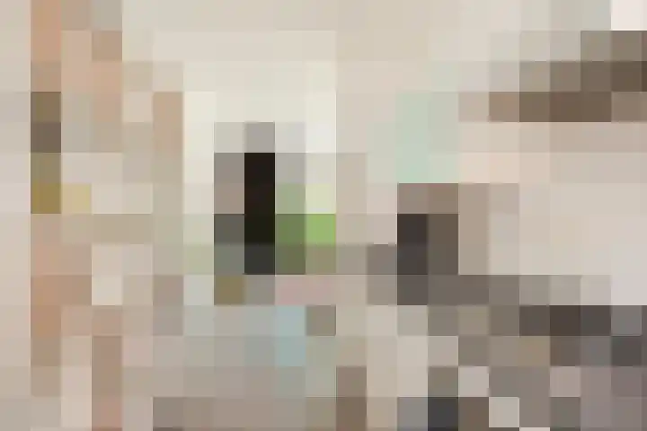 Berkenlaan 89 Doorwerth thumbnail 11