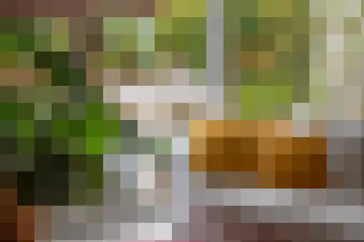 Berkenlaan 89 Doorwerth thumbnail 13