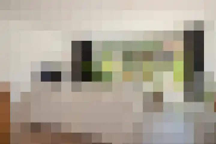 Berkenlaan 89 Doorwerth thumbnail 15