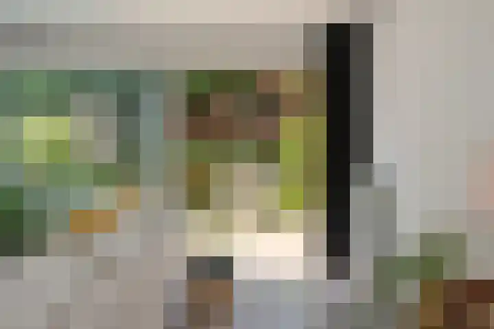 Berkenlaan 89 Doorwerth thumbnail 16