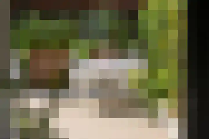 Berkenlaan 89 Doorwerth thumbnail 17