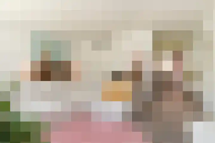 Berkenlaan 89 Doorwerth thumbnail 19