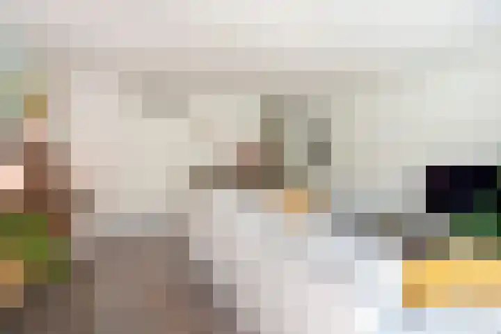 Berkenlaan 89 Doorwerth thumbnail 21