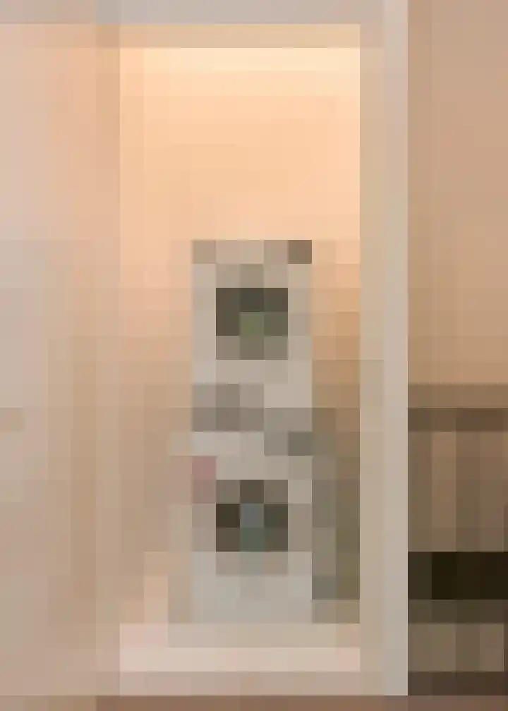 Berkenlaan 89 Doorwerth thumbnail 27
