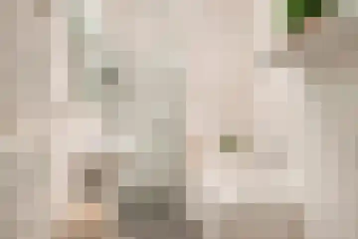 Berkenlaan 89 Doorwerth thumbnail 28