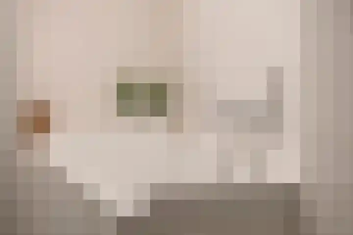 Berkenlaan 89 Doorwerth thumbnail 29