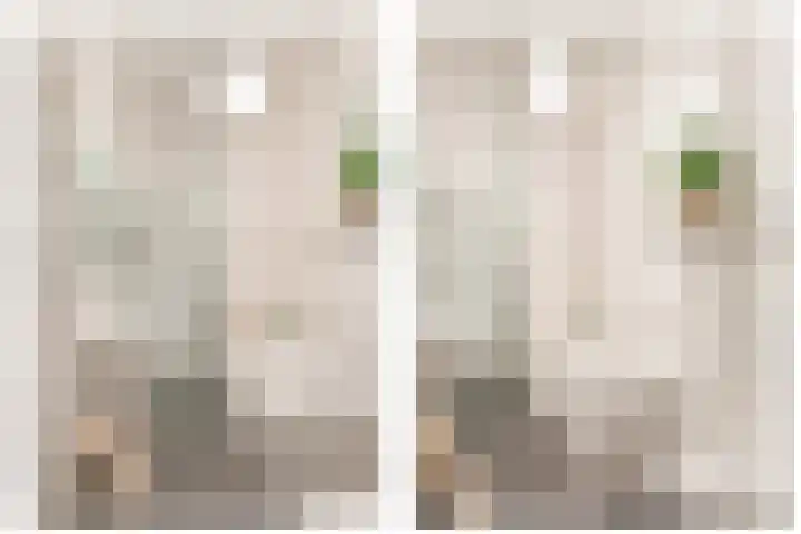 Berkenlaan 89 Doorwerth thumbnail 30