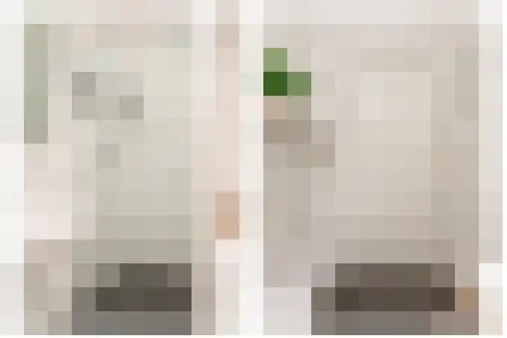 Berkenlaan 89 Doorwerth thumbnail 31