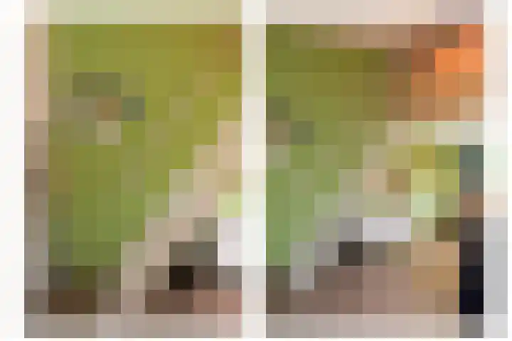Berkenlaan 89 Doorwerth thumbnail 33