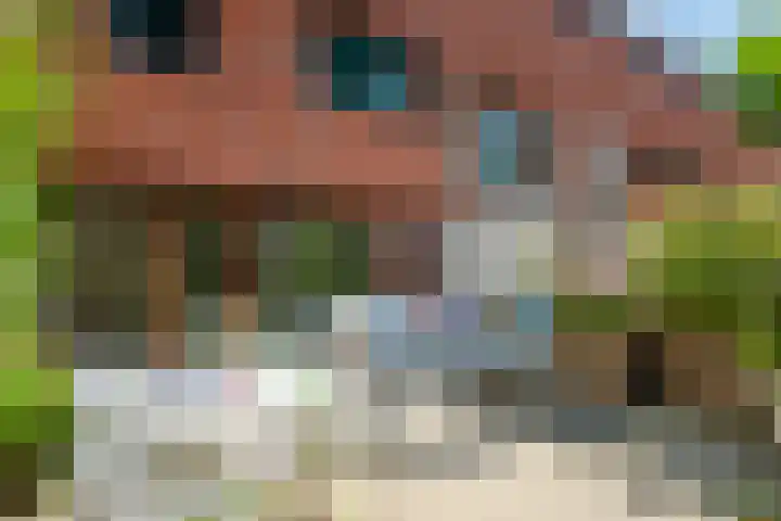 Berkenlaan 89 Doorwerth thumbnail 47