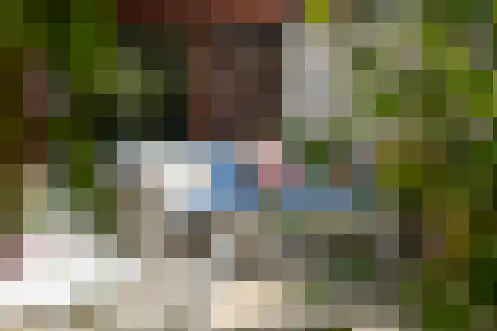 Berkenlaan 89 Doorwerth thumbnail 49