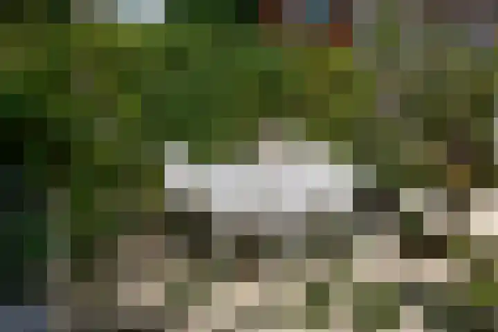Berkenlaan 89 Doorwerth thumbnail 50