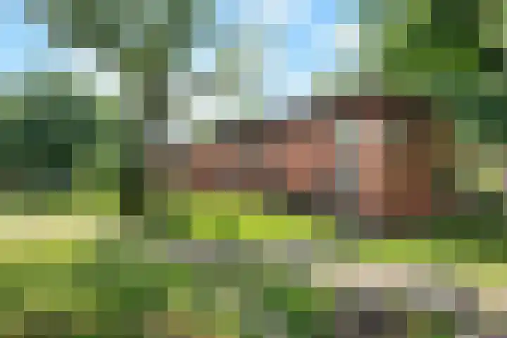 Berkenlaan 89 Doorwerth thumbnail 58