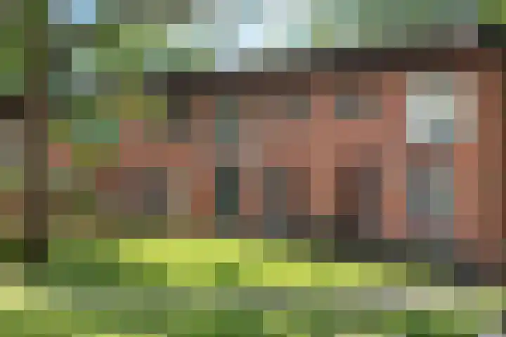 Berkenlaan 89 Doorwerth thumbnail 59