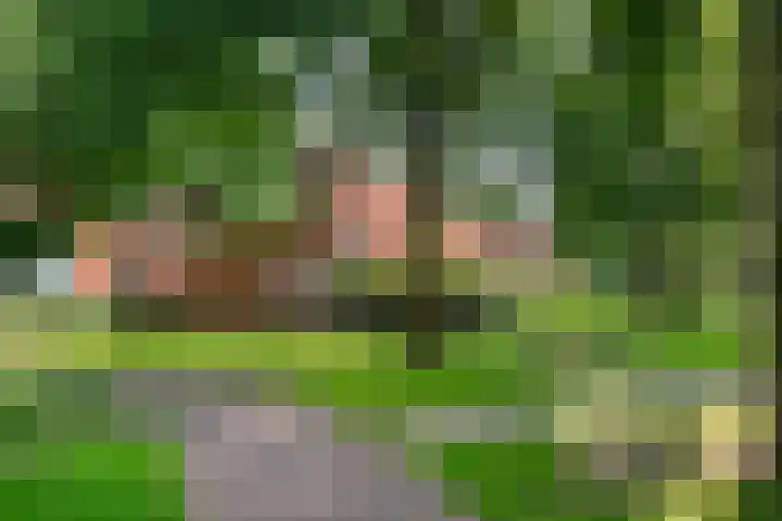 Berkenlaan 89 Doorwerth thumbnail 60