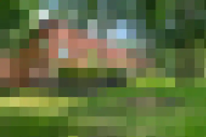 Berkenlaan 89 Doorwerth thumbnail 61