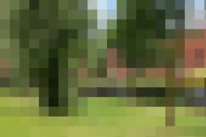 Berkenlaan 89 Doorwerth thumbnail 63