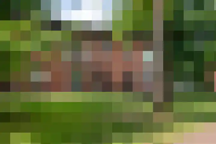 Berkenlaan 89 Doorwerth thumbnail 64