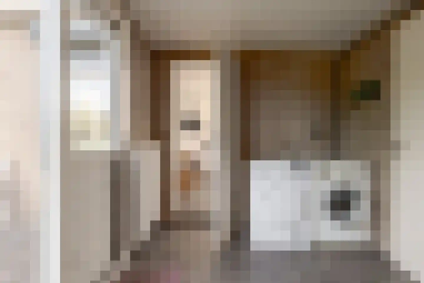 Berkenlaan 9 Exloo thumbnail 21