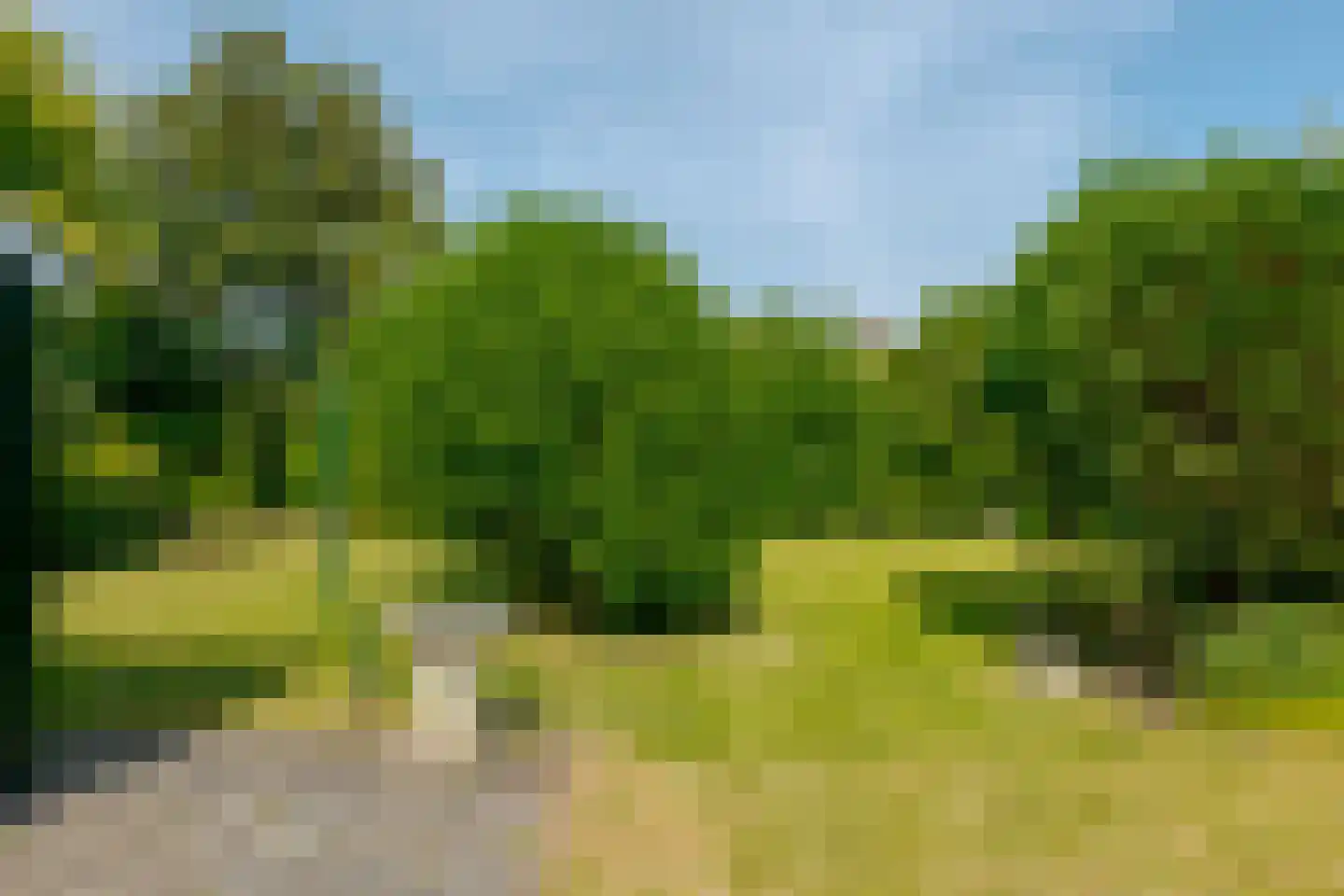 Berkenlaan 9 Exloo thumbnail 31