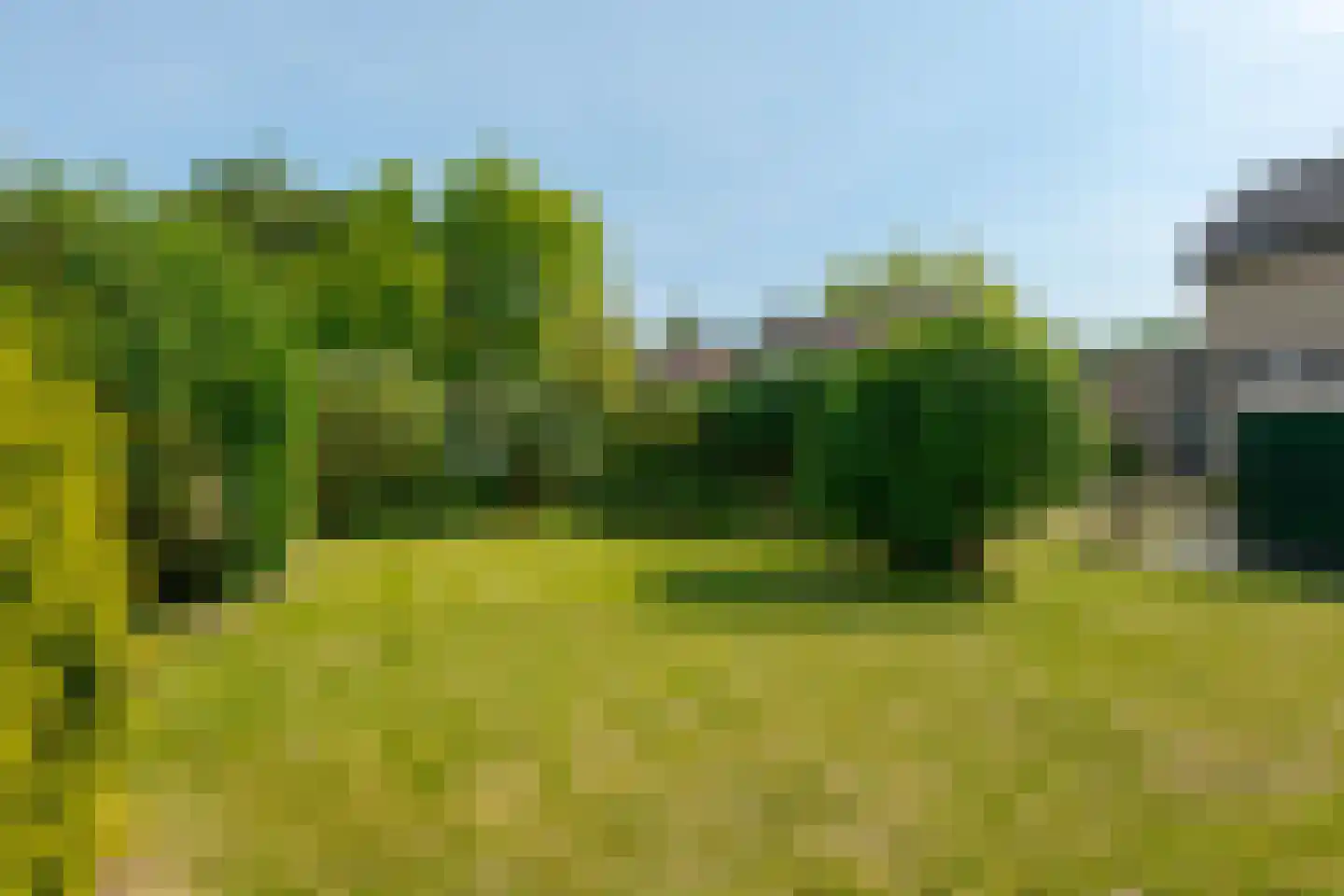 Berkenlaan 9 Exloo thumbnail 33