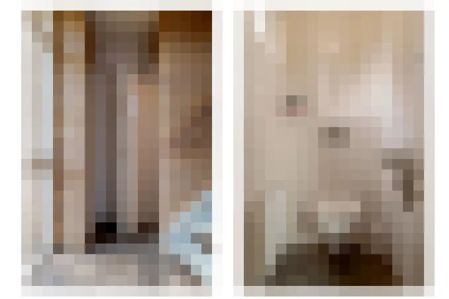 Berkenlaan 9 Exloo thumbnail 34