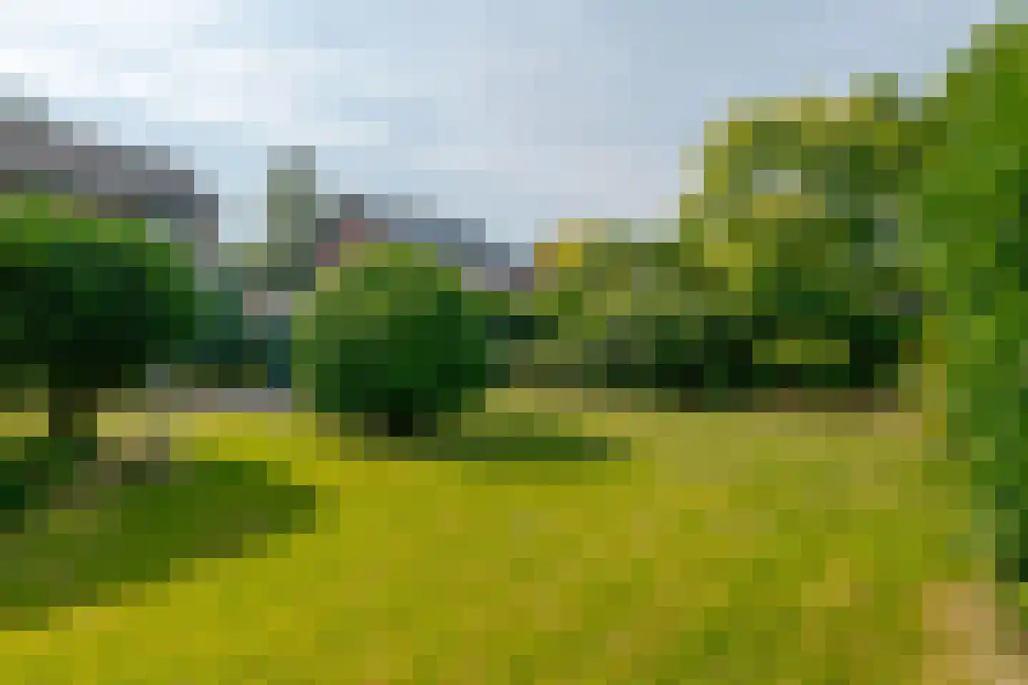 Berkenlaan 9 Exloo thumbnail 4