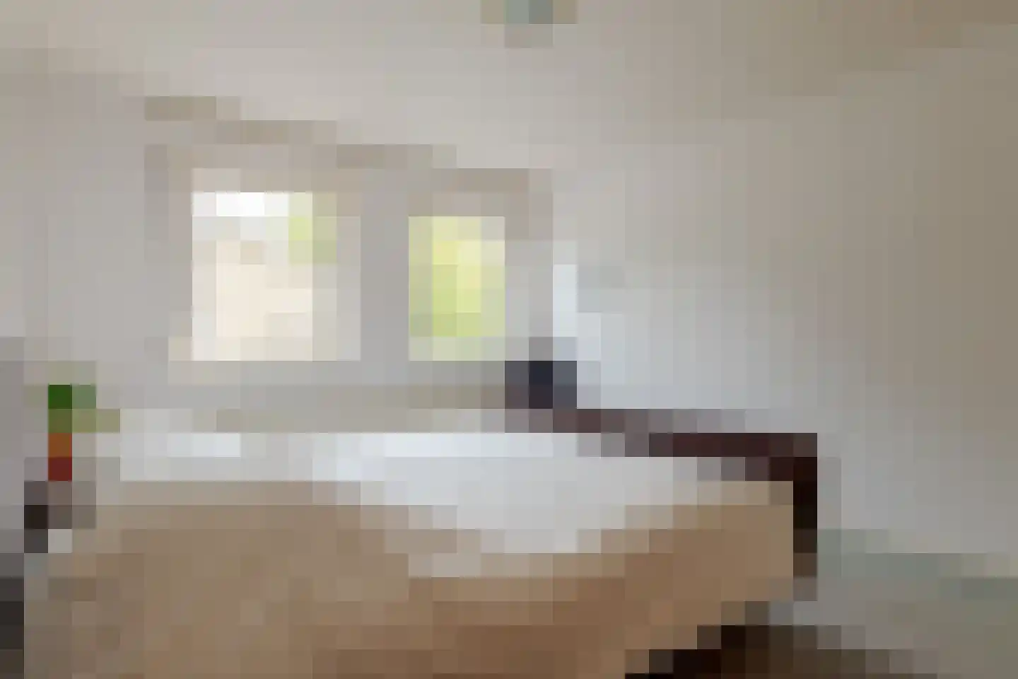 Berkenlaan 9 Exloo thumbnail 43