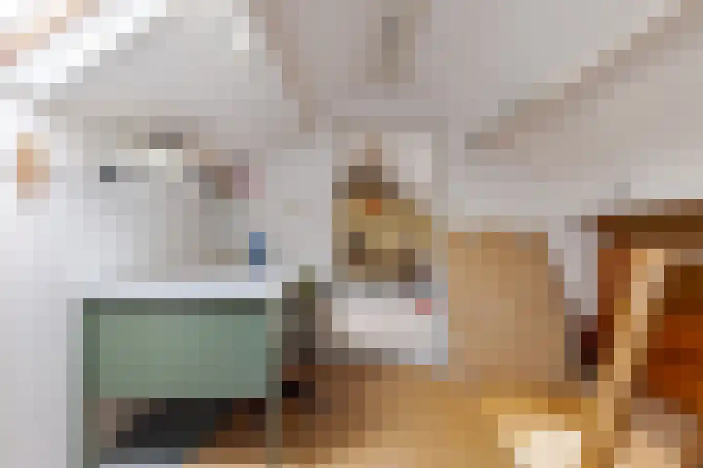 Berkenlaan 9 Exloo thumbnail 50