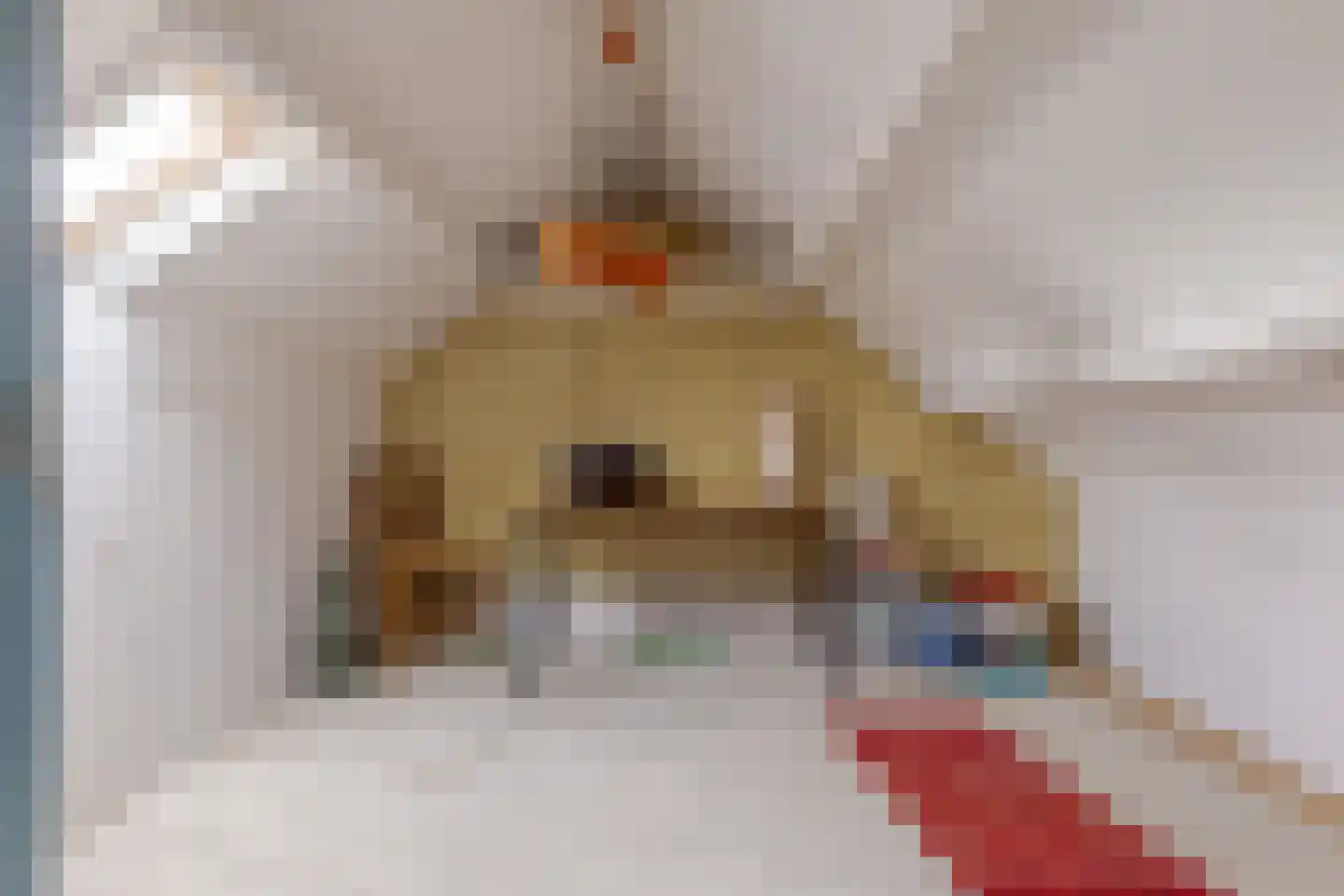 Berkenlaan 9 Exloo thumbnail 52