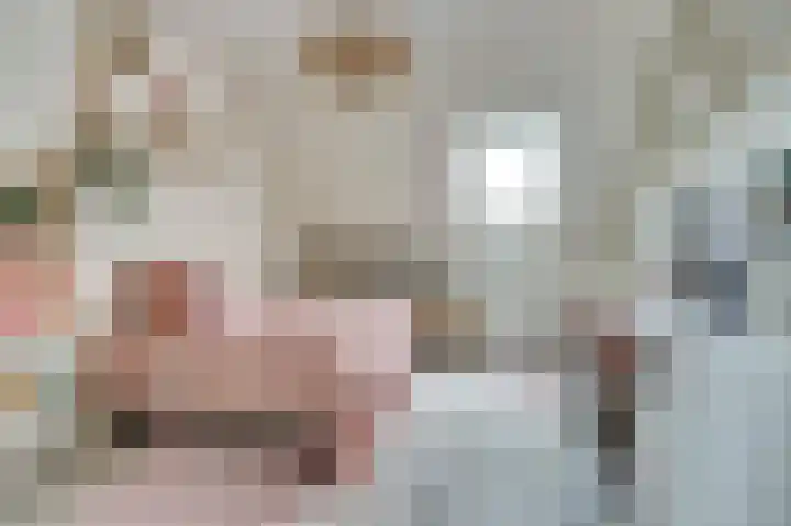 Berkenlaan 9 Malden thumbnail 15