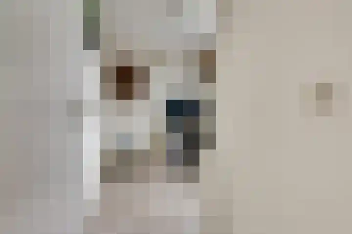Berkenlaan 9 Malden thumbnail 20