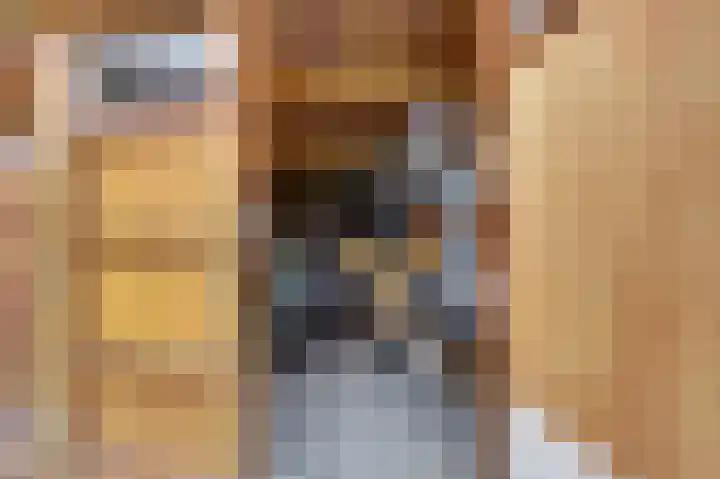 Berkenlaan 9 Malden thumbnail 37