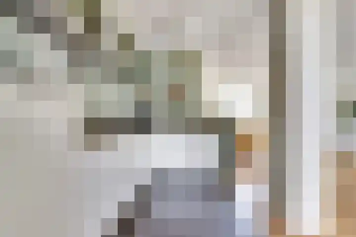 Berkenlaan 9 Malden thumbnail 9