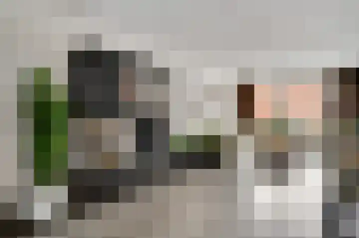 Berkenlaan 9 Neer thumbnail 13