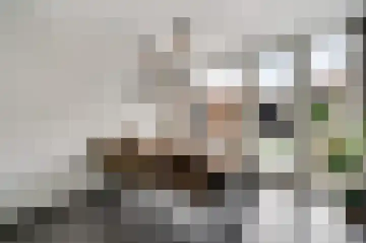 Berkenlaan 9 Neer thumbnail 14