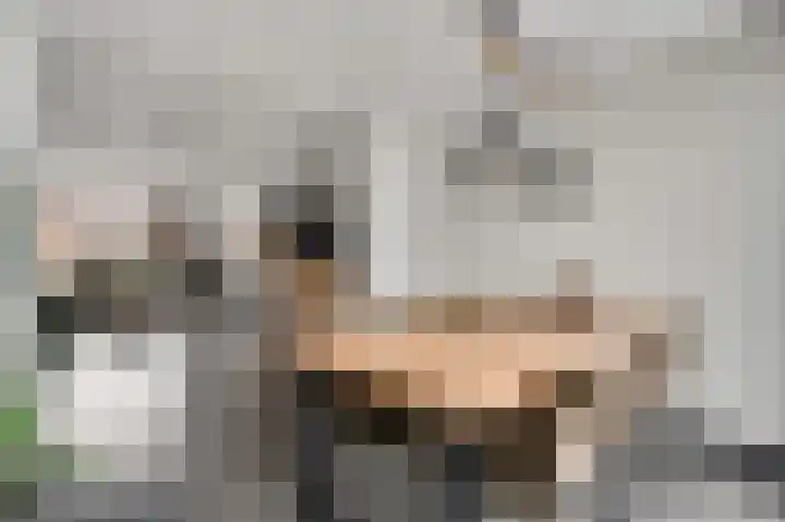 Berkenlaan 9 Neer thumbnail 15