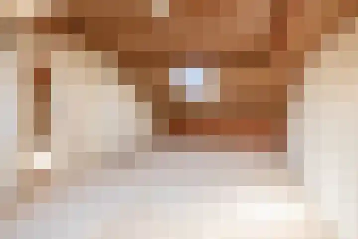 Berkenlaan 9 Neer thumbnail 18