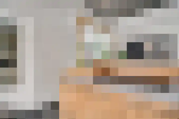Berkenlaan 9 Neer thumbnail 19