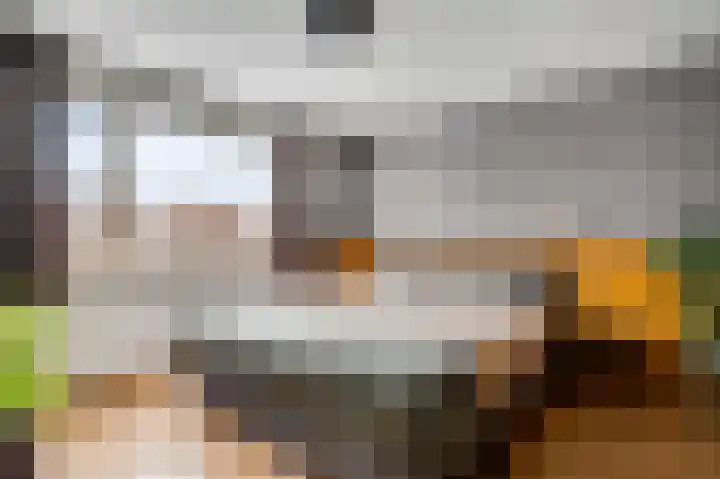 Berkenlaan 9 Neer thumbnail 22