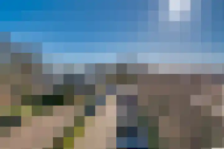 Berkenlaan 9 Neer thumbnail 31