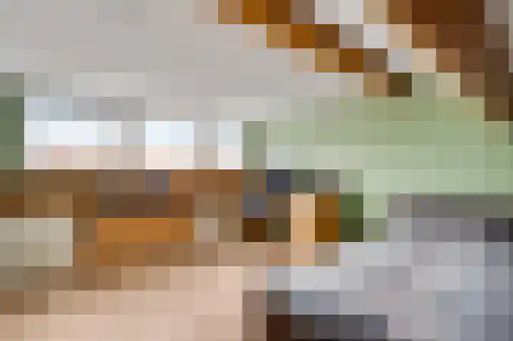 Berkenlaan 9 Neer thumbnail 4