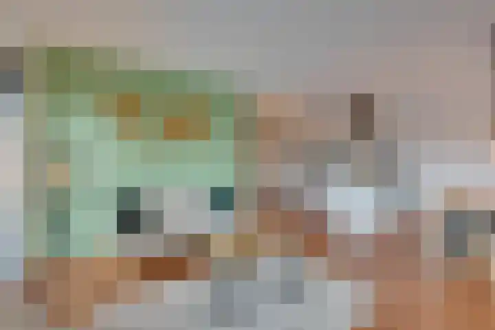 Berkenlaan 9 Neer thumbnail 42