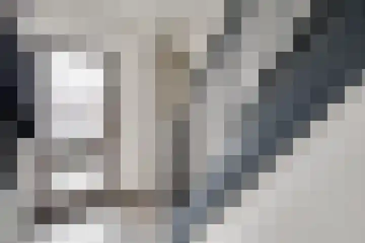 Berkenlaan 9 Neer thumbnail 5