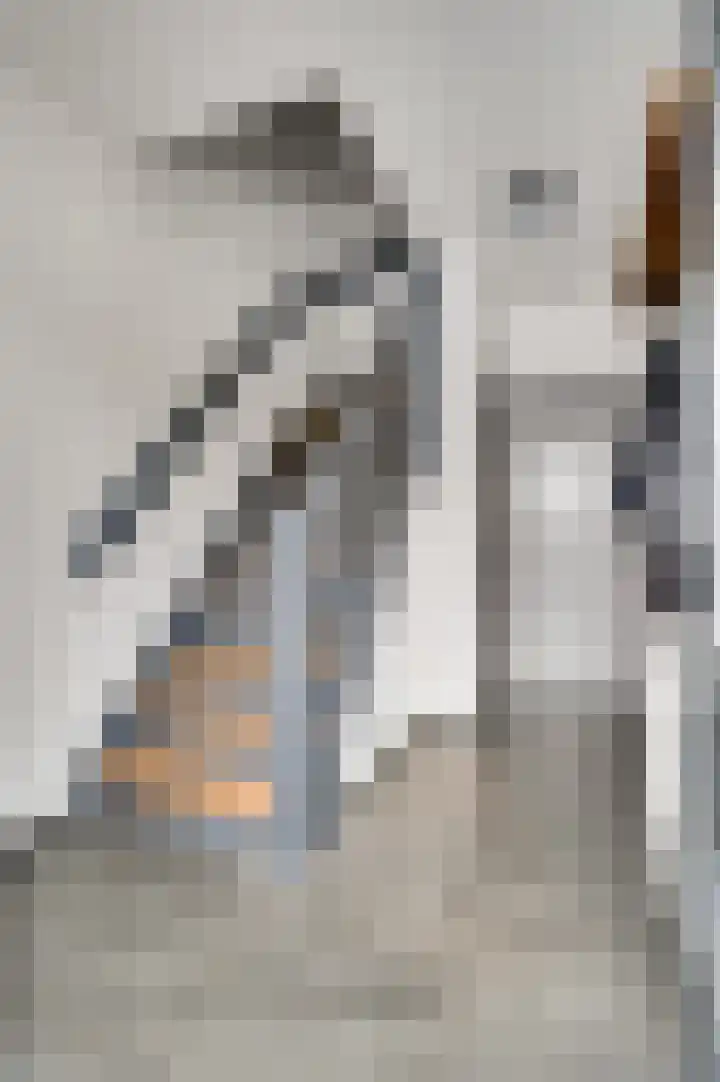 Berkenlaan 9 Neer thumbnail 6