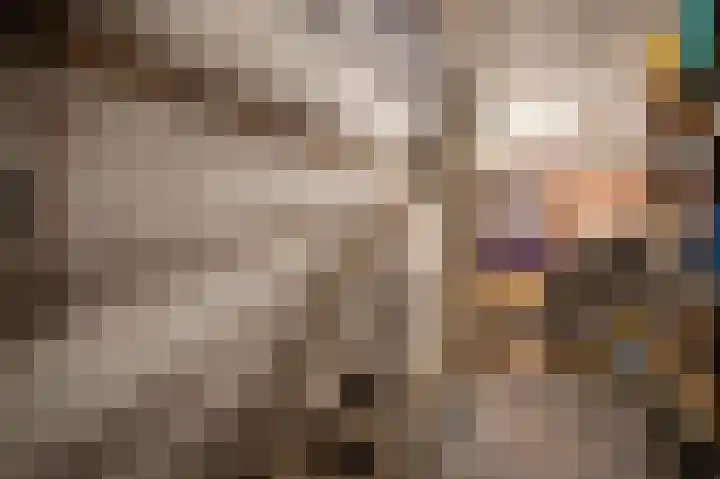 Berkenlaan 9 Neer thumbnail 7